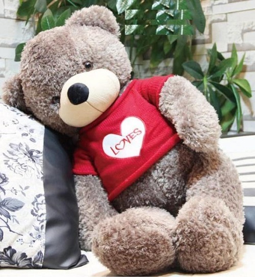 Giá gấu bông teddy ở Tp HCM là bao nhiêu? - Mua sắm