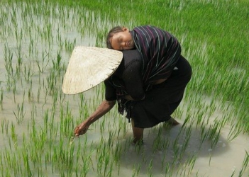 Phân tích bài thơ Bếp Lữa - Mua sắm