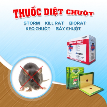   Diệt chuột phòng trọ bằng thuốc diệt chuột storm - Mua sắm